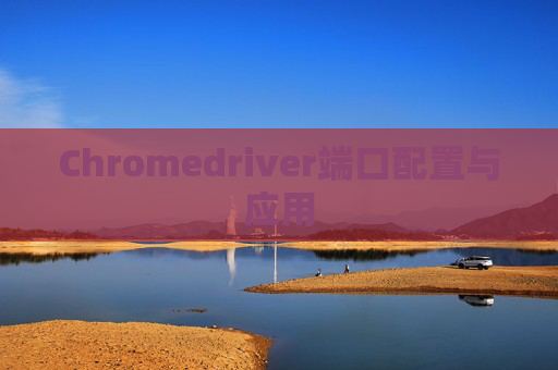 Chromedriver端口配置与应用