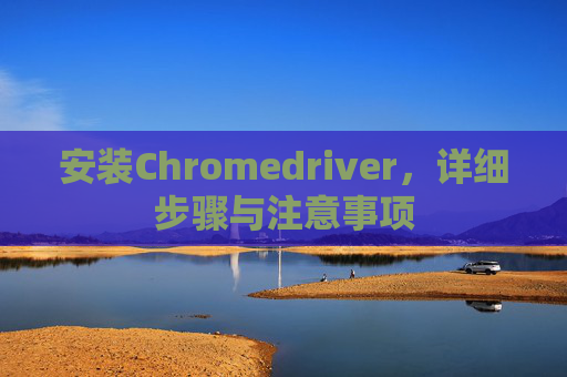 安装Chromedriver，详细步骤与注意事项