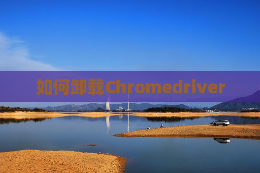 如何卸载Chromedriver 如何卸载Chromedriver